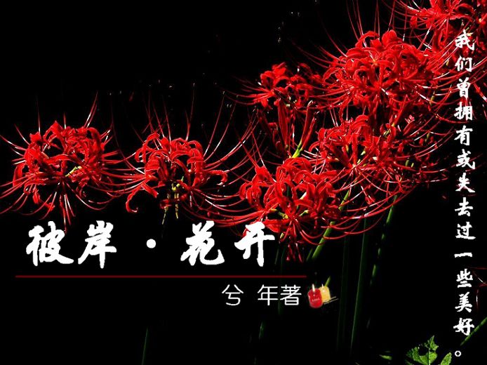 �˰�������