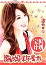 �����ƻ�:�������仵����(ȫ��+����)����