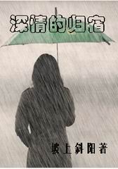 深情的归宿封面