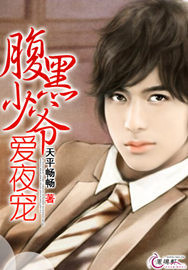 腹黑少爷爱夜宠封面