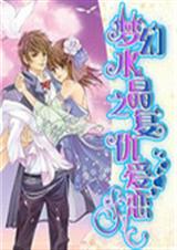 梦幻水晶之复仇爱恋封面