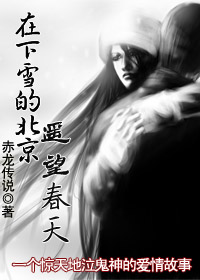 在下雪的北京遥望春天封面