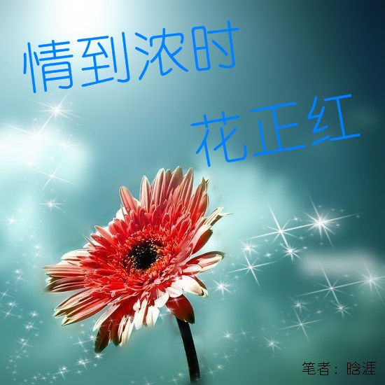 情到浓时花正红封面
