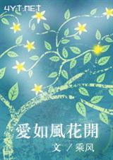 ����绨�� (VIP���,����,�߸�)