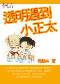 !网游透明遇到小正太封面