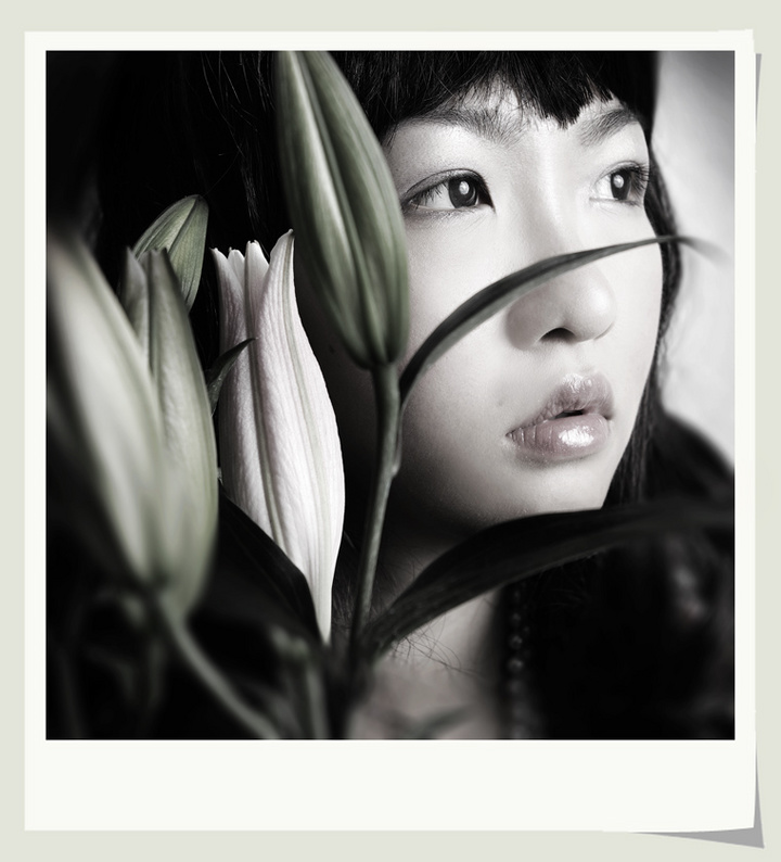 你把青春给过谁封面