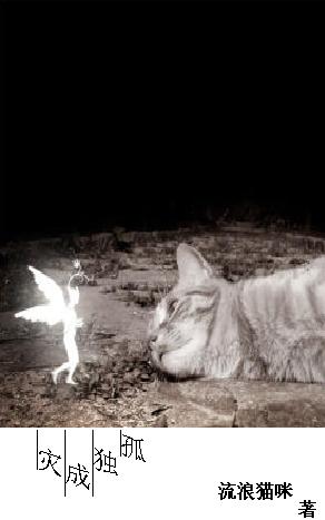 80�����;֮��:���ǻ���