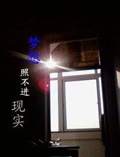 �����ղ�����ʵ����