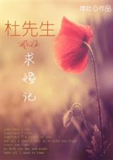 杜先生求婚记封面