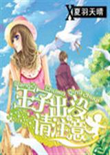 王子出没请注意封面