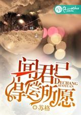 闻君已得偿所愿封面