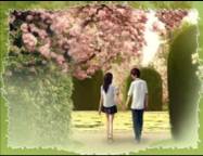 柏拉图式爱情: 血之魂封面