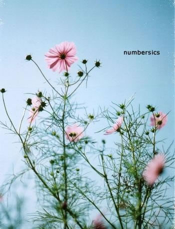 ҹ��ı�����