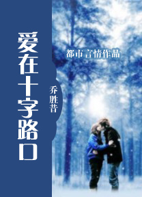 爱在十字路口 爱在十字路口
