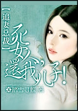 追妻总裁:死女人,还我儿子 追妻总裁:死女人,还我儿子