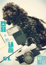 ������������gl