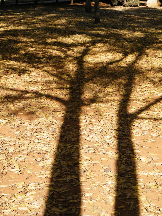 南郊北城 南郊北城