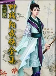 侠盗来如风封面