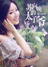 苏向晚的太子爷封面