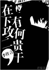 在下攻二,有何贵干封面
