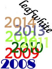 白叶挚爱 白叶挚爱