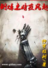 钢炼之暗夜风起封面