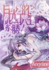 月光下的紫藤公主封面