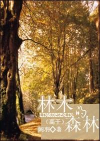 林木的森林封面