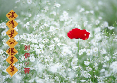 û���Ϲ��ܶ���