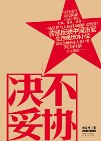 法制与人间百态的正式博弈:决不妥协封面