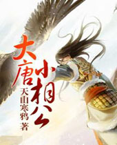 大唐小相公封面