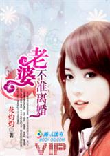 宝贝,我认栽:老婆,不准离婚!封面