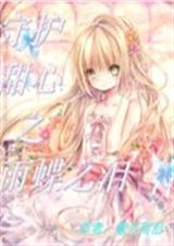 守护甜心之雨蝶之泪封面