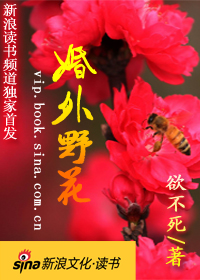 婚外野花:求爱离婚后封面