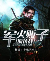 军火贩子的抗战 军火贩子的抗战