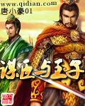 谋臣与王子封面