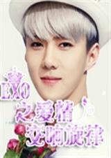 EXO֮���齻������