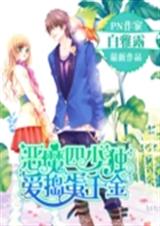 恶魔四少独爱捣蛋千金封面