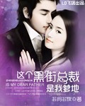 这个黑街总裁是我爹地封面