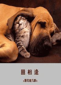 �����  �����ղذ����