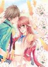 ��ɽ��ʹ�ĸ���������