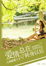 爱情,总在转身以后封面