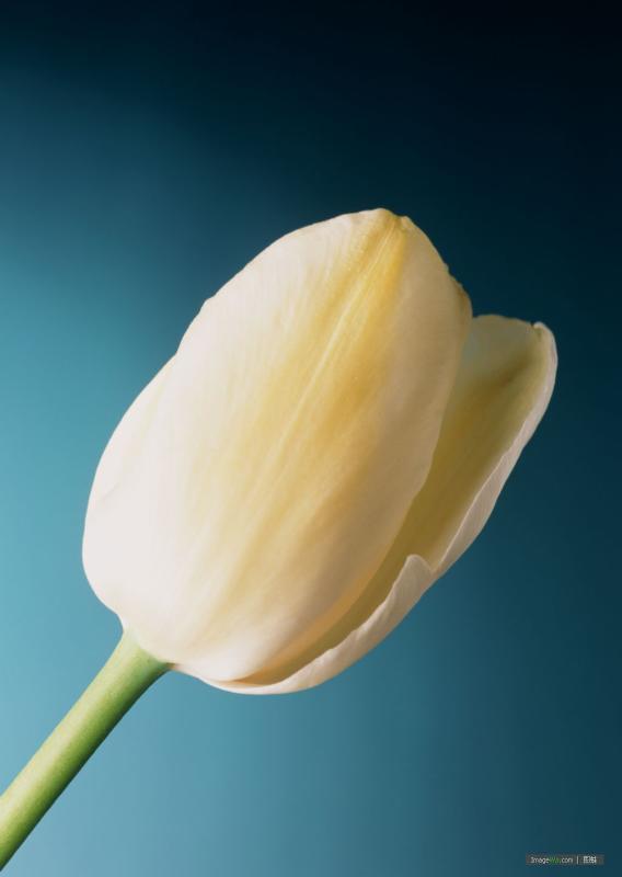 ���µ�ͯ��