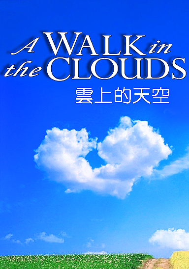 云上的天空封面