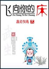 飞向你的床封面
