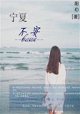 宁夏不安封面