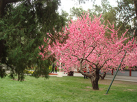 �����һ�