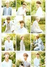 ���˾�������