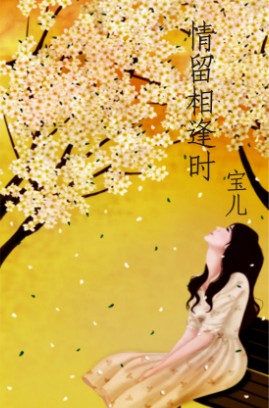 情留相逢时 情留相逢时