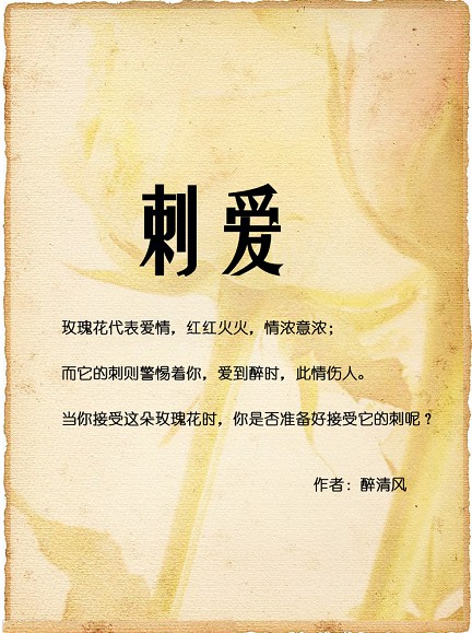 刺爱(又名宿命)封面